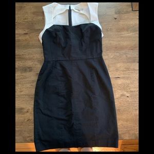 Stunning BR Color Block Dress